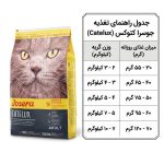 گربه جوسرا کتلوکس - تصویر 3