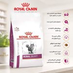 غذای رویال کنین رنال سلکت RoyalCanin Renal Select - تصویر 2