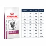 غذای رویال کنین رنال سلکت RoyalCanin Renal Select - تصویر 3