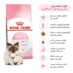 غذای گربه رویال کنین مادر اند بیبی – RoyalCanin Mother & Baby - تصویر 2