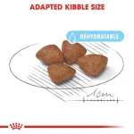 غذای مینی استارتر رویال کنین  Mini Starter Royalcanin - تصویر 3
