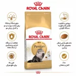 غذای پرشین ادالت رویال کنین Royalcanin Persian Adult - تصویر 2